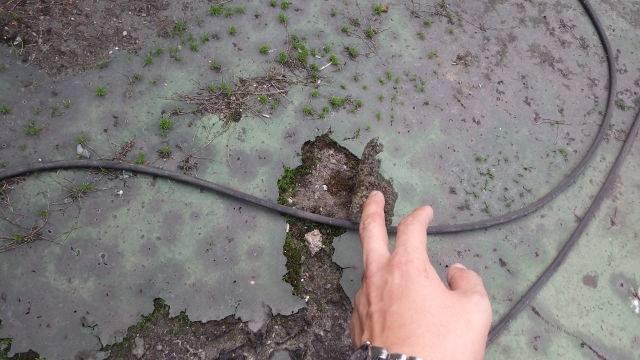 防水層の破断・損傷